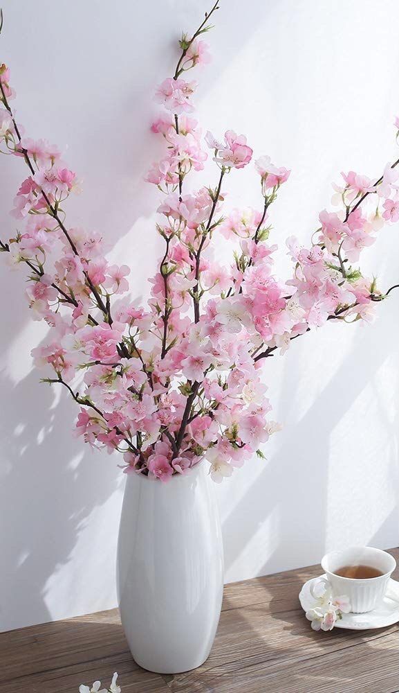 Cherry Blossom