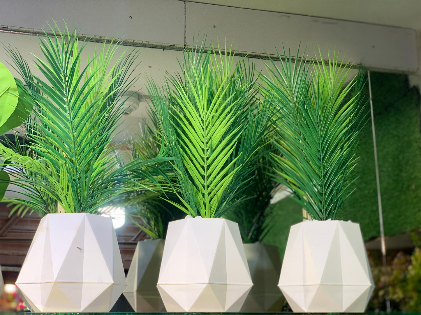 Facet Palm