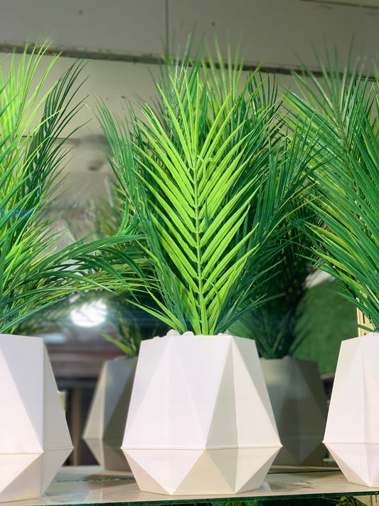 Facet Palm
